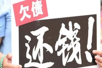 闵行要数公司